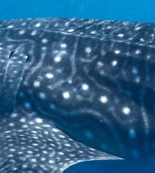 692ade84-2ddd-4e5e-9502-cd73d72e1140