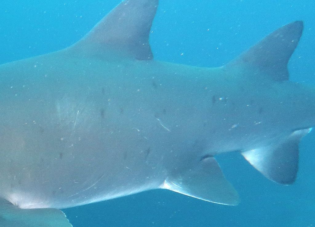 2632a8f4-211b-450d-8c0d-3b08828bc84e