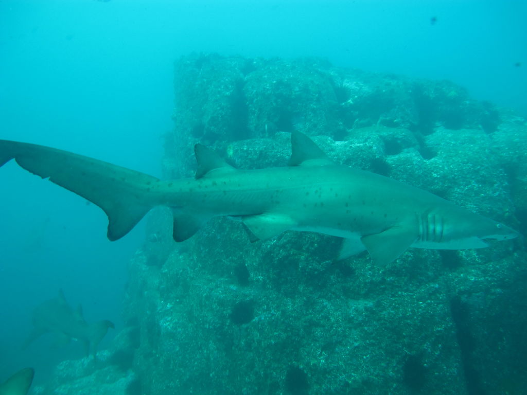 e784c4e2-c62d-4ba8-82ba-65b72ac42970