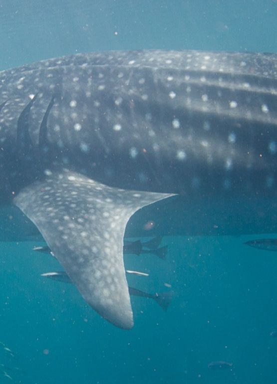 cda510ff-c756-4676-a262-8e6ccb0c0976