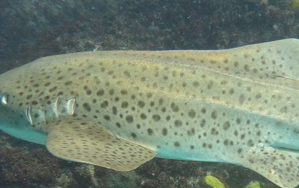 c9420929-3b19-43ae-b547-5540040499ed