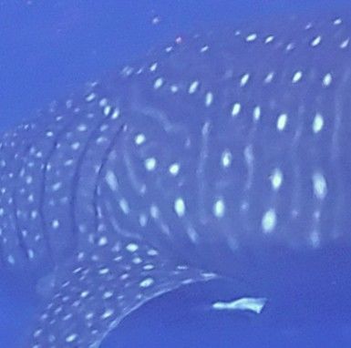 e97b6281-c5e4-4ba5-a7e6-6c2d18be65b7