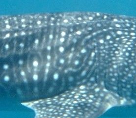 4087ad35-ec44-4729-87c5-faecb4e046d9