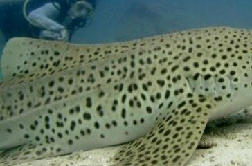 ec3f1382-f3f5-4183-9387-621235a2ef17