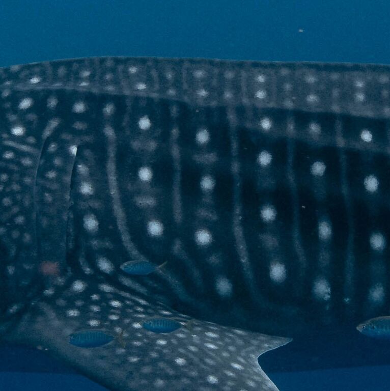 7111a3db-c0f0-46c5-94d8-0cd1a720823f