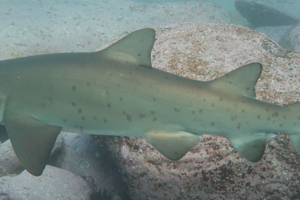 1bc1c3fe-ca86-404f-a713-ec2abfca5027