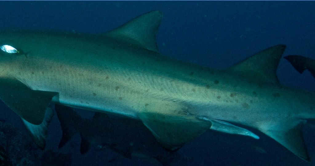 6f8bb410-8839-4fba-baf4-96bd2c2e46d1