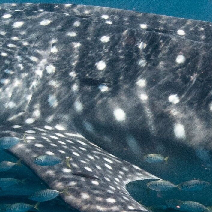 fe2335de-b43c-4042-a158-a93469583e71