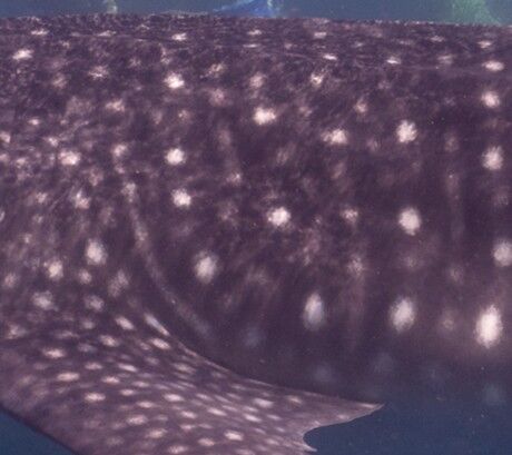 e095c80a-2e68-42b5-87cb-71079c87af80