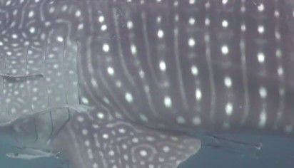 08444ce0-c433-4dcf-bdaf-6001c558bf3b