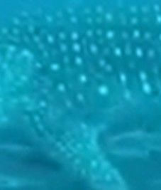 d9baf10a-6c5b-4e8b-9cb0-b753f2900c8f