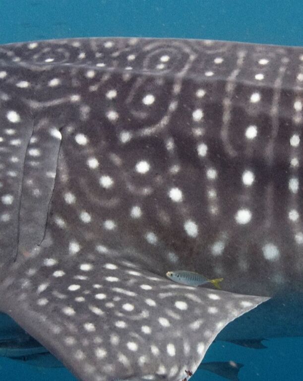 a8b779b7-45be-42b9-990d-179043f711a3