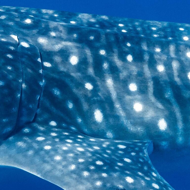 54aac2c7-9429-440e-b920-d53de1402993