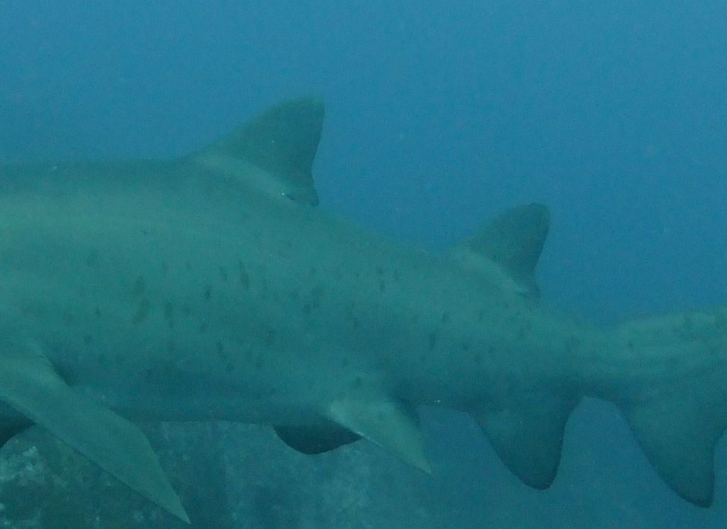 a68beca0-713e-4f9c-8386-74d14c616dbb