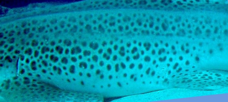 3be0e60c-1605-4f88-9495-55b170e09c2c