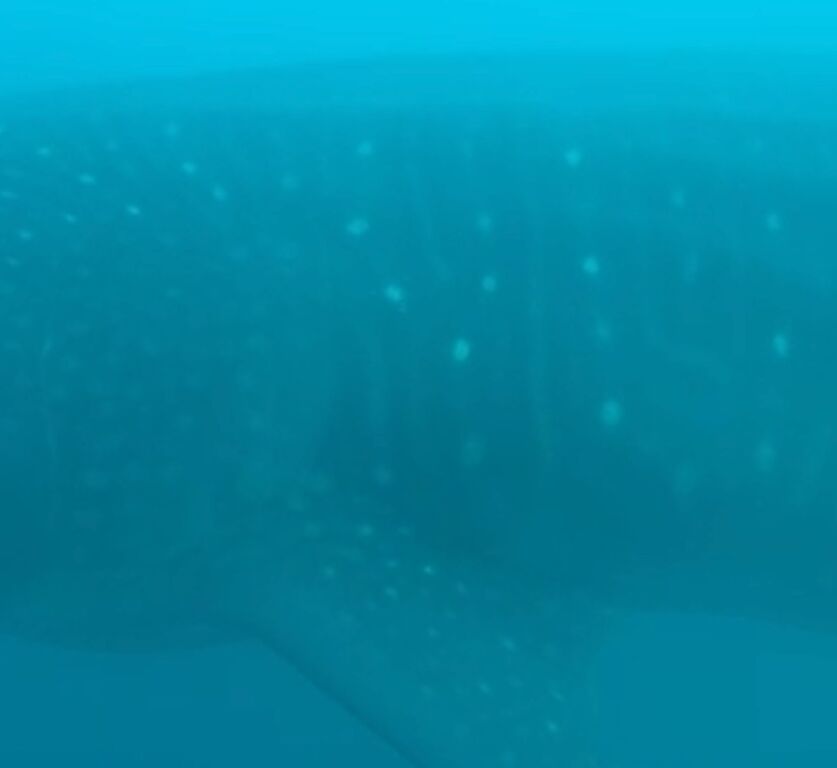 e139b124-d407-4ca4-ad1c-c10f8196c68b