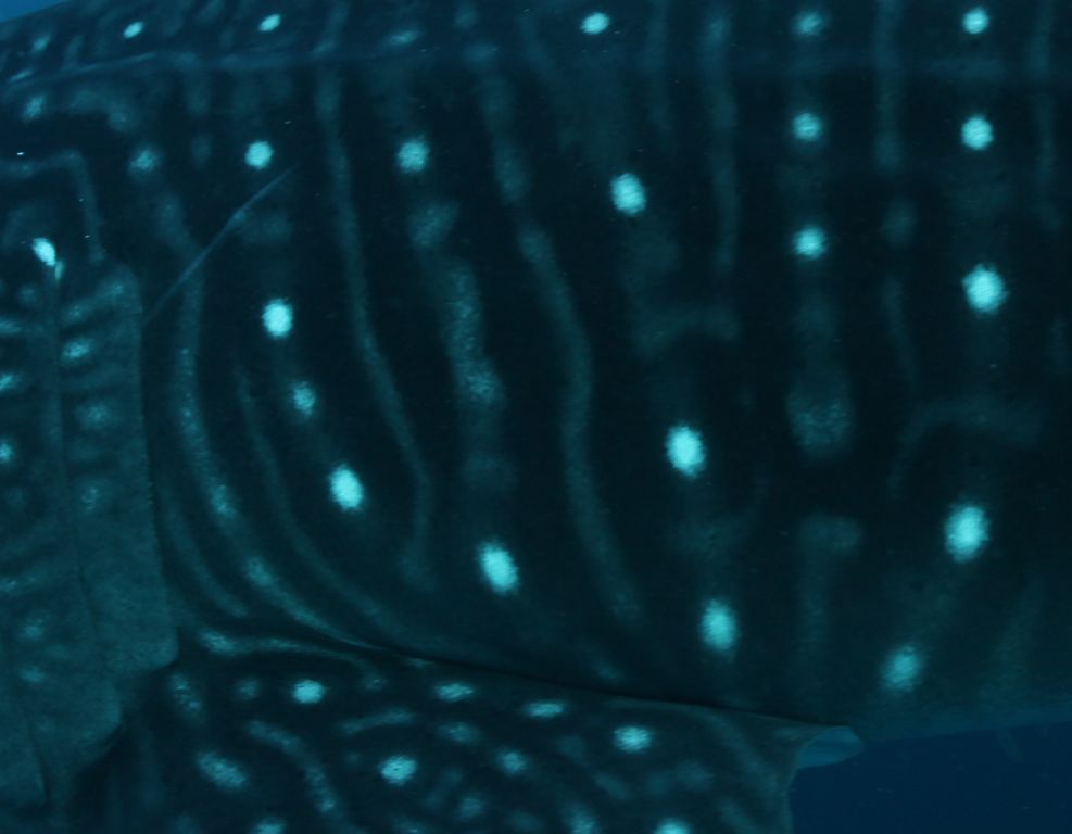 5456134e-aafe-44c0-b8fa-85a4f131f418