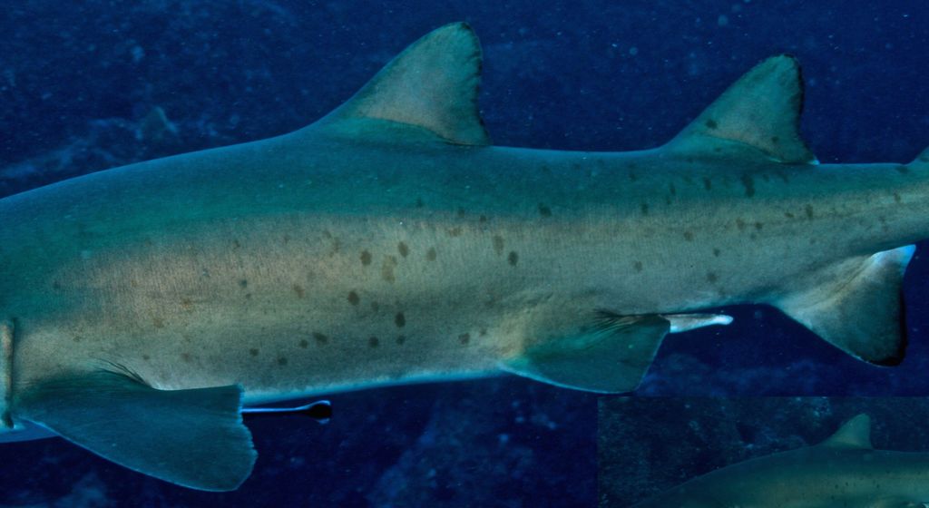 96ec4604-ce13-4f5b-ba0c-16a125fcb905