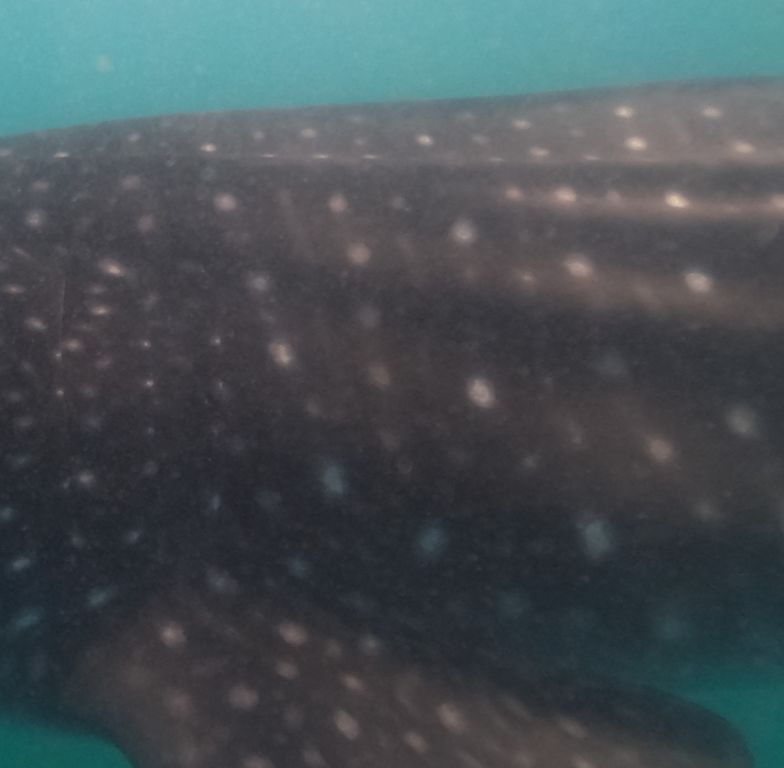 3ca603d9-91c7-4408-aae3-260b2f1d252b