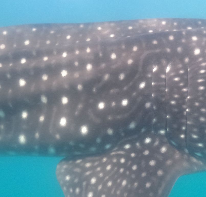 3ca603d9-91c7-4408-aae3-260b2f1d252b