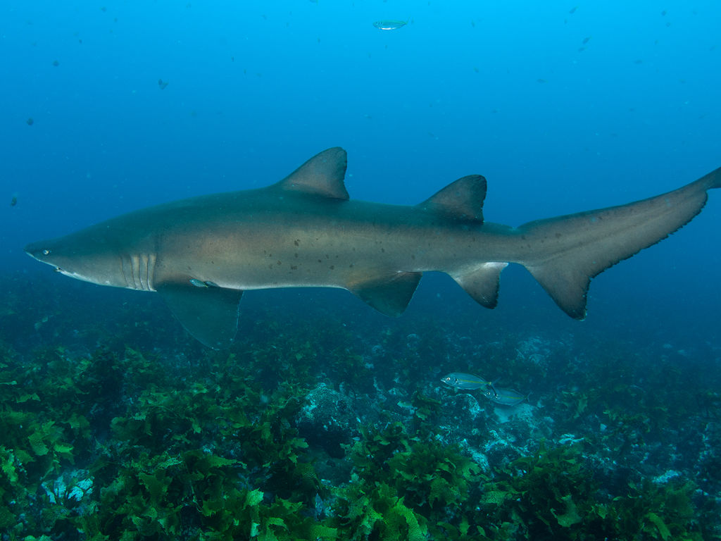 84e099ed-4f16-4d70-b826-4c666d1e7959