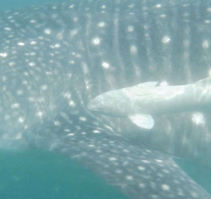 b0df3c12-daf6-4e5d-84c1-eaa5071f2560