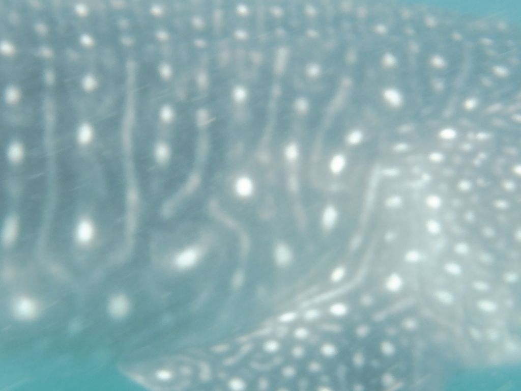 b0df3c12-daf6-4e5d-84c1-eaa5071f2560