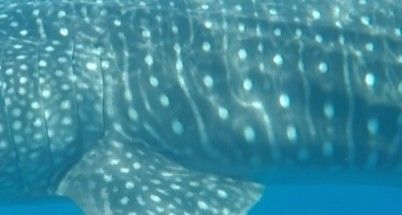 2eb77de9-1170-49a0-b6a2-5b97f72839bf