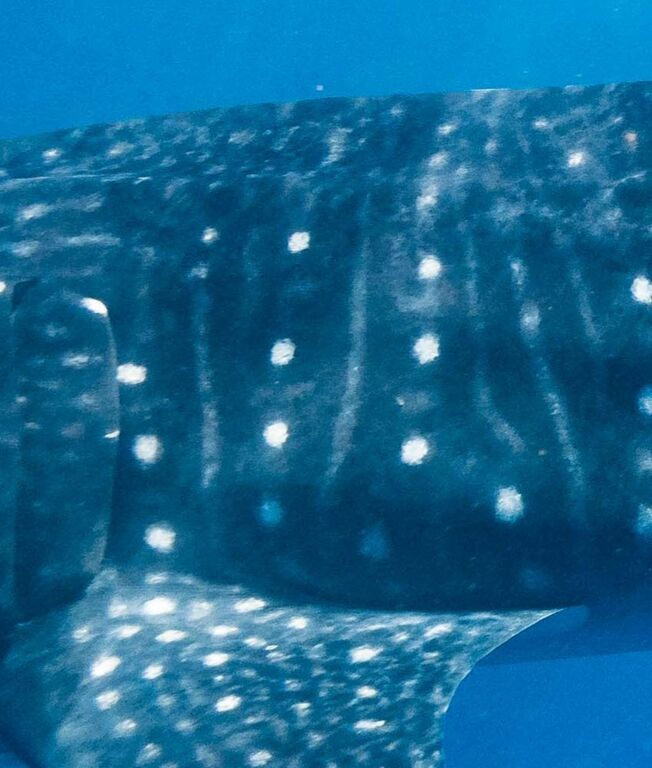 163e5b1c-f782-4eba-b06f-1531d14d7904