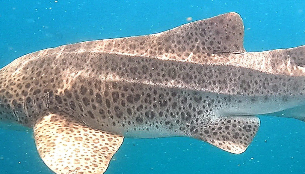 3a2751bc-ea70-4b83-b739-0ea300e7d27e