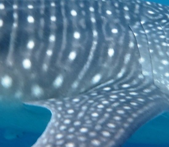 7e499fc8-356f-41a9-a3bc-b52d4b601dfa