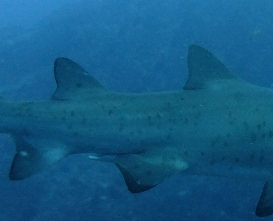 e30df41c-d258-4b16-ac21-d8d6e36d99ae