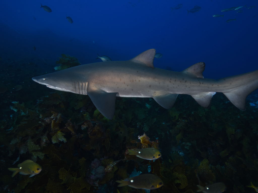 5c7073a4-5320-4d0d-a4b2-8f94baa94ad6