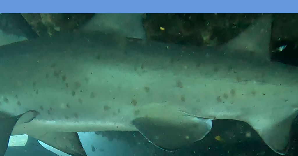 34ecc795-b604-42f4-af14-00c66422089c