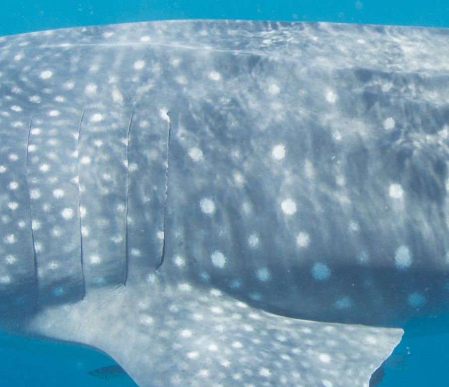 9b804dbe-106f-4a50-8e5c-0a3282d250eb