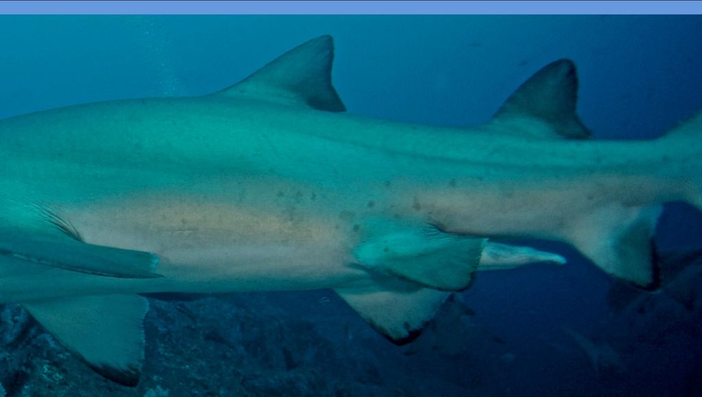 b3410681-2102-4288-99b2-a18b27840956