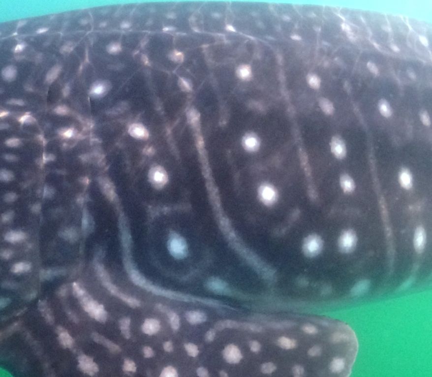 b5ff5852-39ed-4a05-977e-f3519ac3eabe