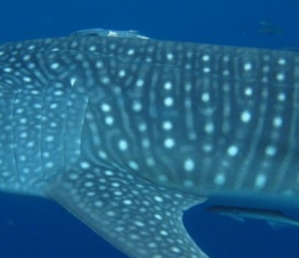 b6c74740-59cf-4b72-943d-36ed2486f00c