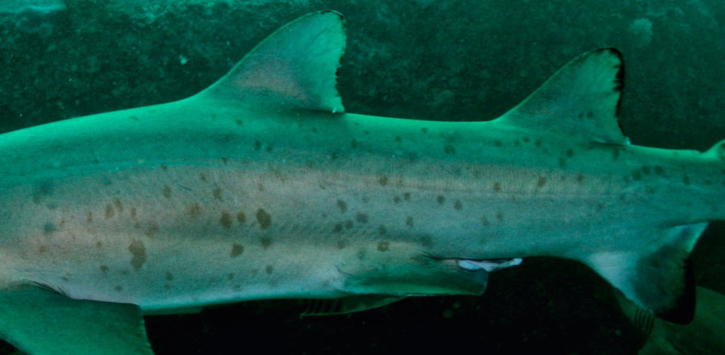 f84a54d6-e31a-4e43-9bec-9ec95e3d8db5