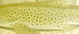 f68263dd-4f23-43ba-bac7-f7e5ead8133a