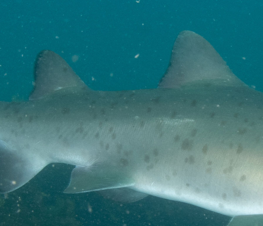 ab1ced0f-4fc9-477b-a74c-9643ea395837