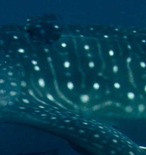 01c64b54-9a23-4b7f-bea9-44daf1bd2dda