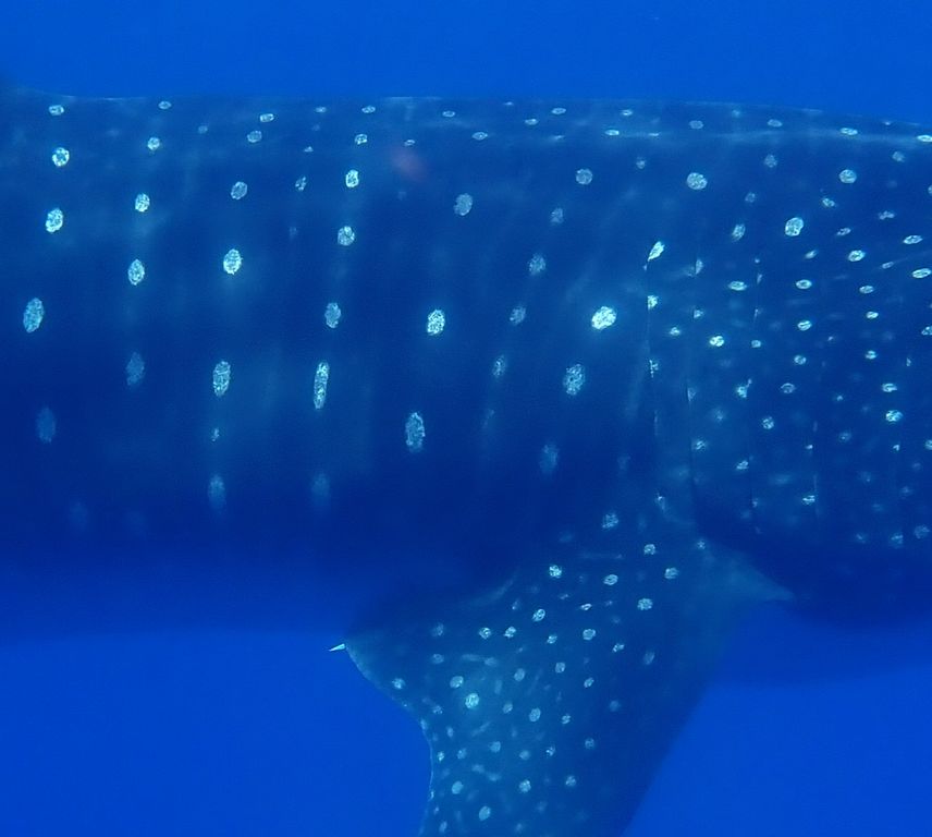 84a43abb-baee-4482-9421-bbc2e0f7c1f4