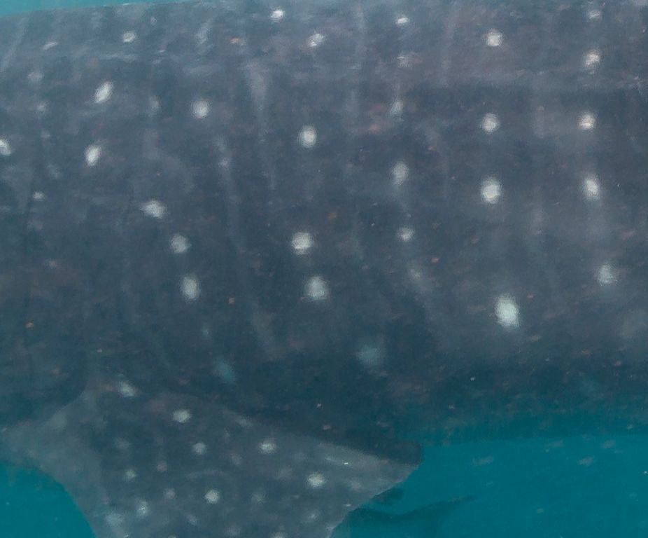 e8013820-82bc-42bc-b3da-bcf027700778