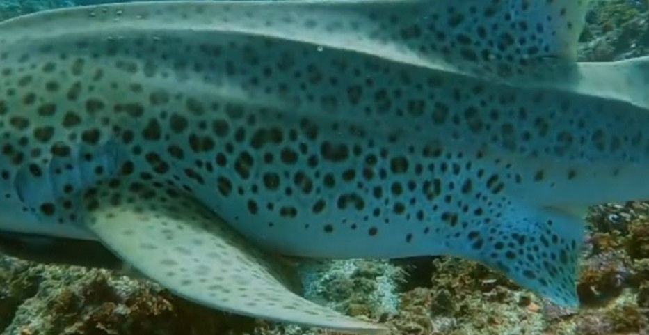 86eccdcb-7a22-41e9-b16e-283e408b0263