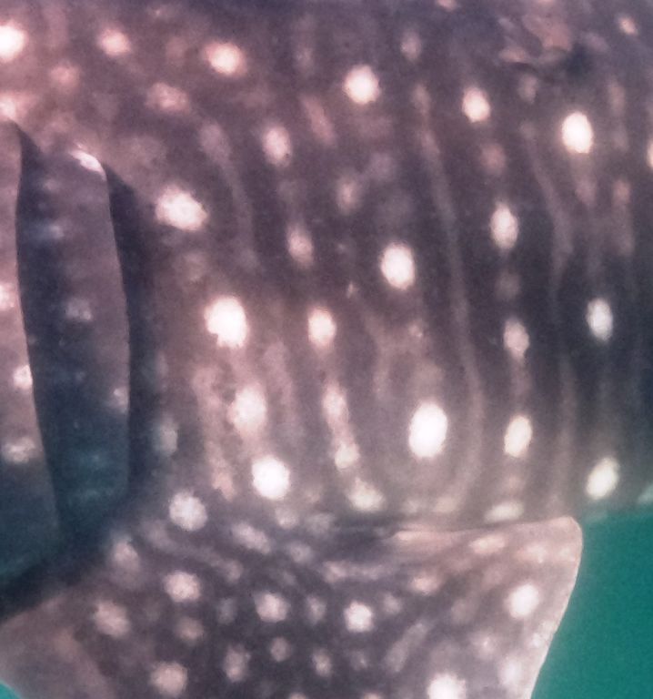 8cb487ee-6232-4003-aba6-eb22acb497b1