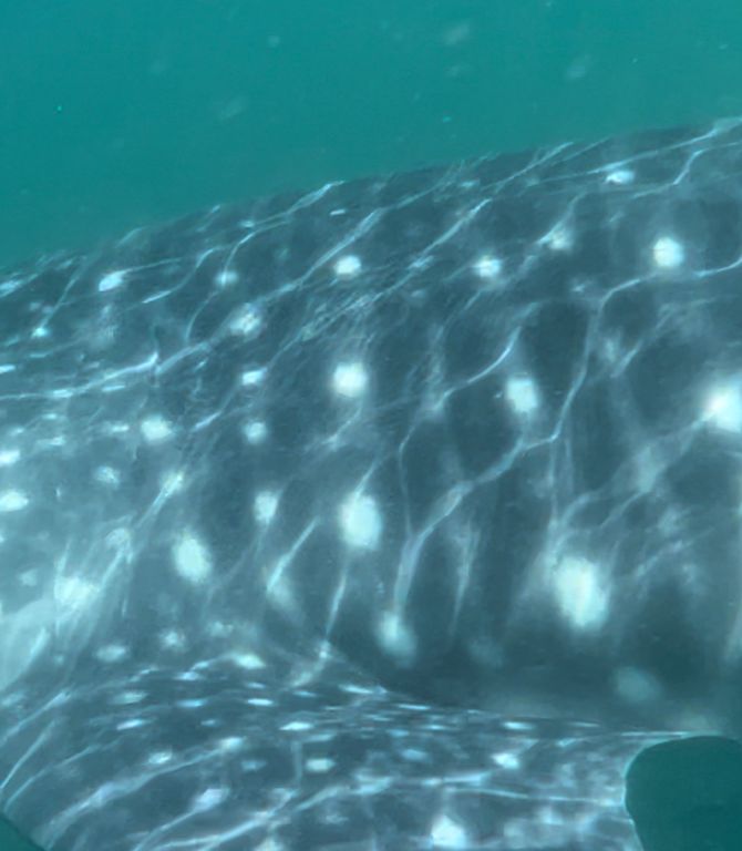 f03c36b4-06fd-4e81-8f49-02480fb0696f