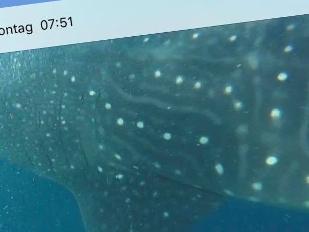 772367f5-c5a4-4dd7-b463-4b80611466fd