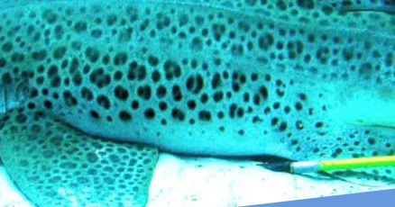 c429d50d-7bef-4eaf-babc-62f55ebfbdec