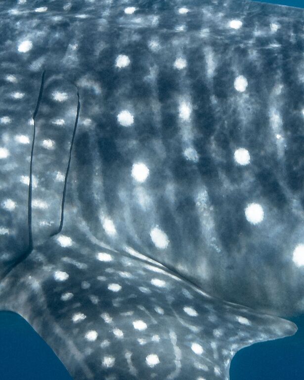 4226cb71-7431-49b7-907c-49d084ef4b70